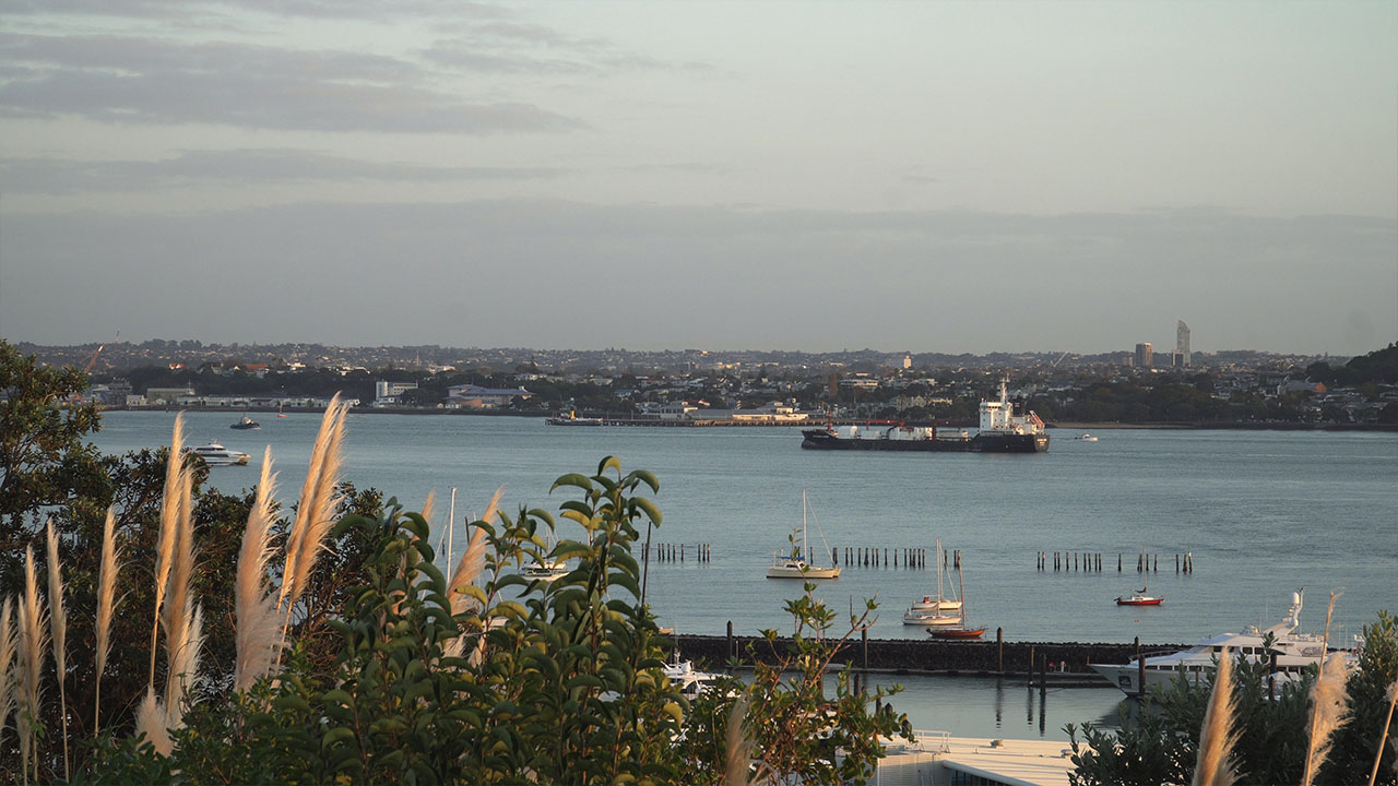 Aotearoa Chief